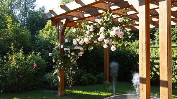Top raisons d'opter pour une pergola à Agen